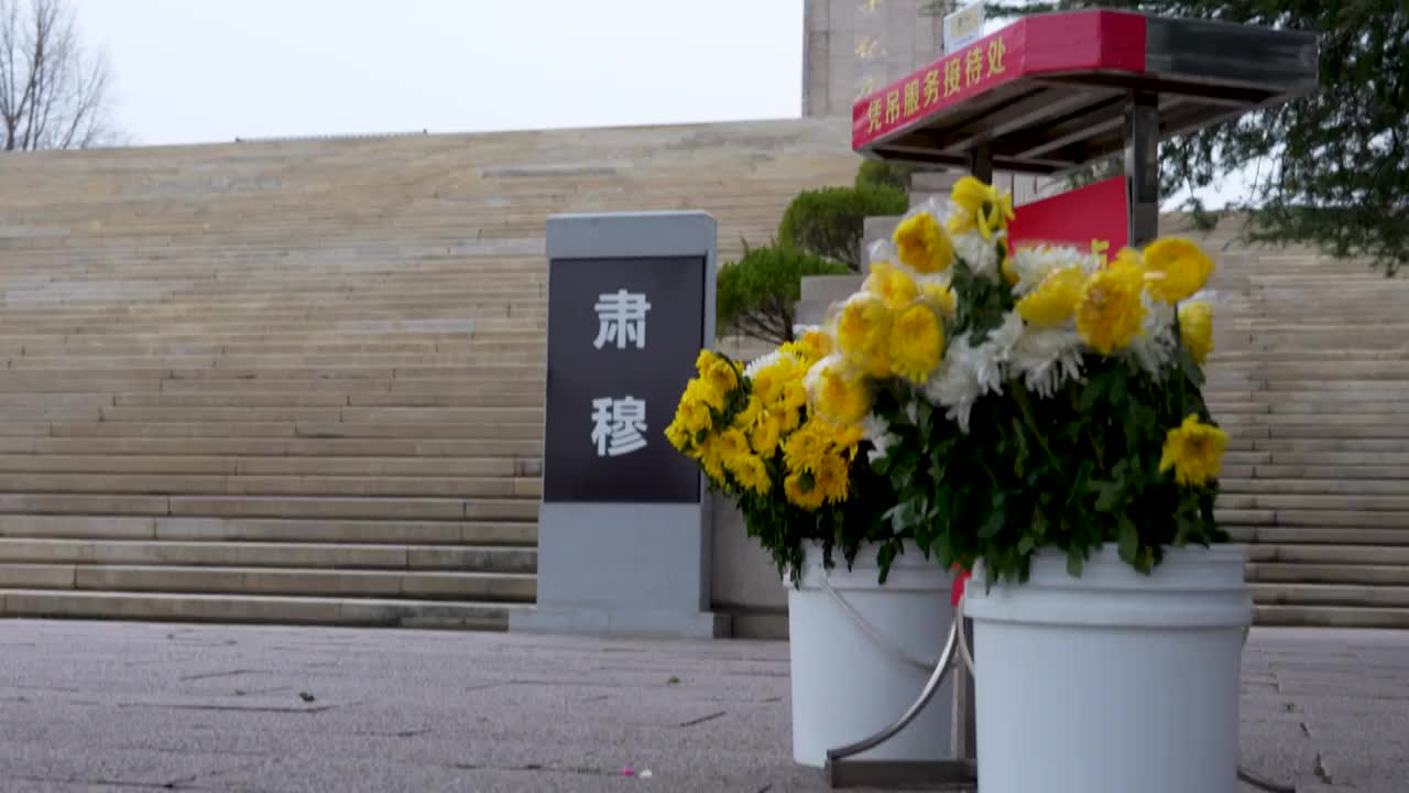 南京雨花台烈士陵园烈士纪念碑视频素材