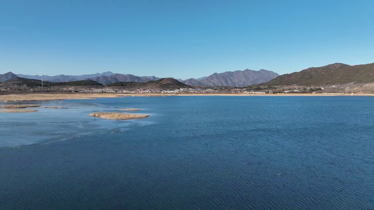 北京怀柔水库冬天普通秋沙鸭群航拍视频素材