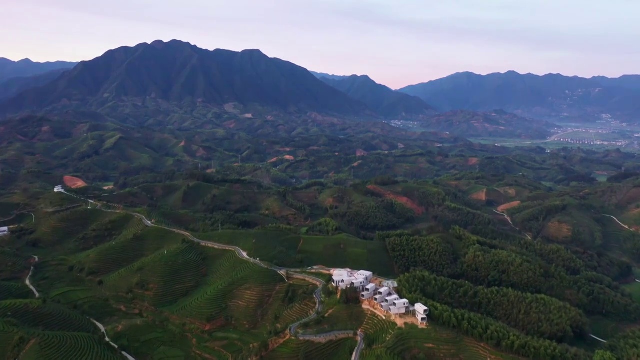 浙江丽水遂昌大柘万亩茶园视频素材