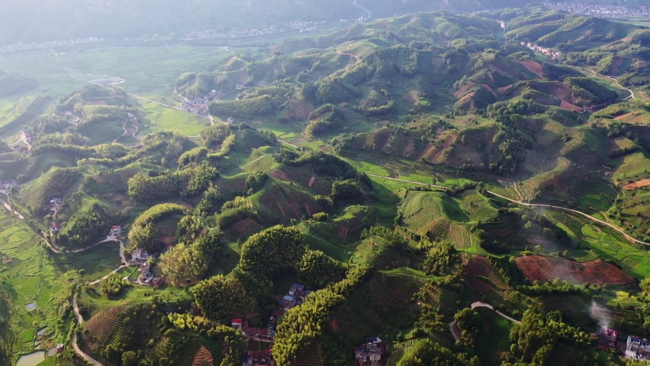 浙江丽水遂昌大柘万亩茶园视频素材