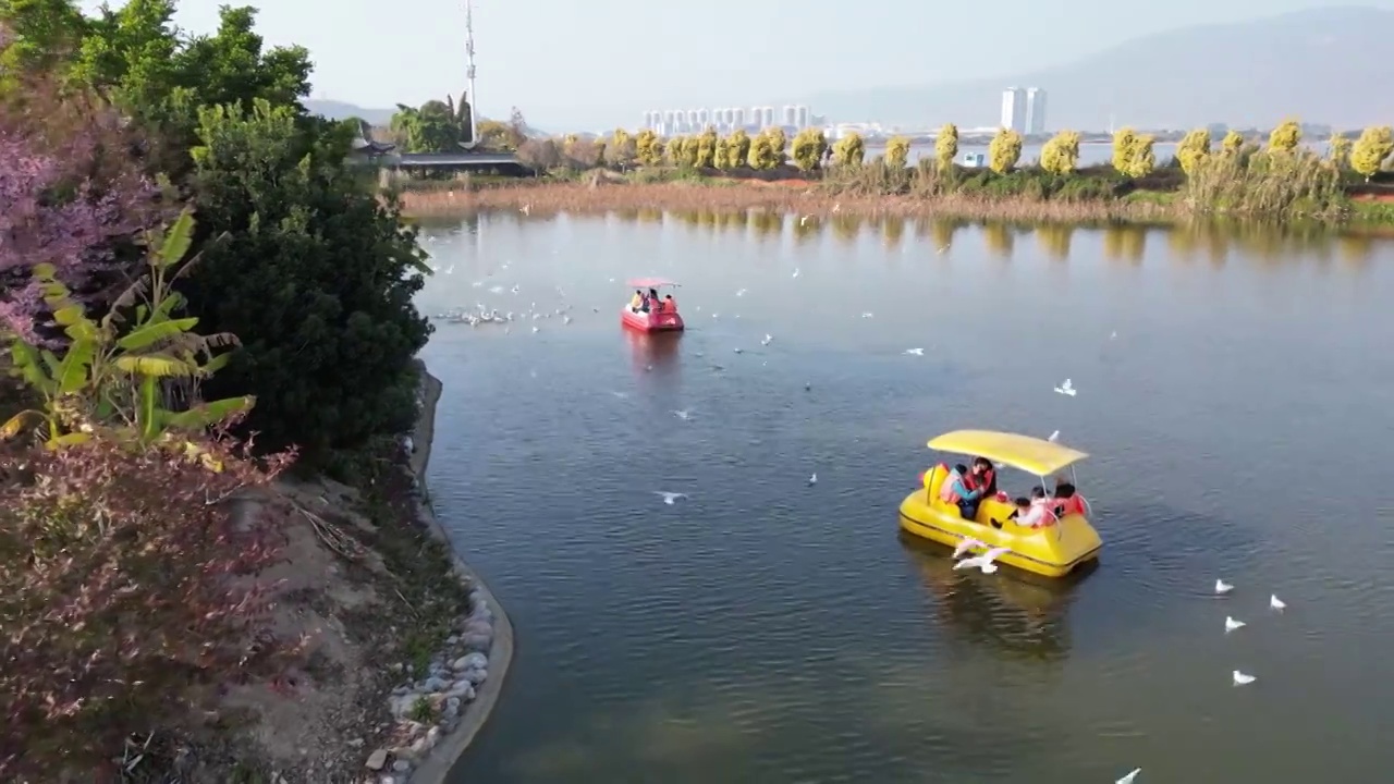 云南省红河州石屏县异龙湖游船景区风光视频素材