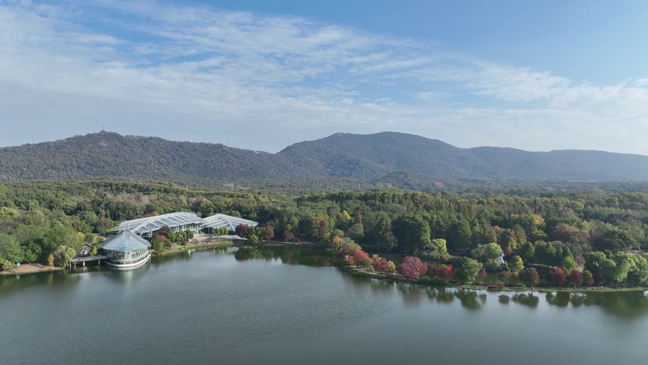 南京中山植物园秋景视频素材