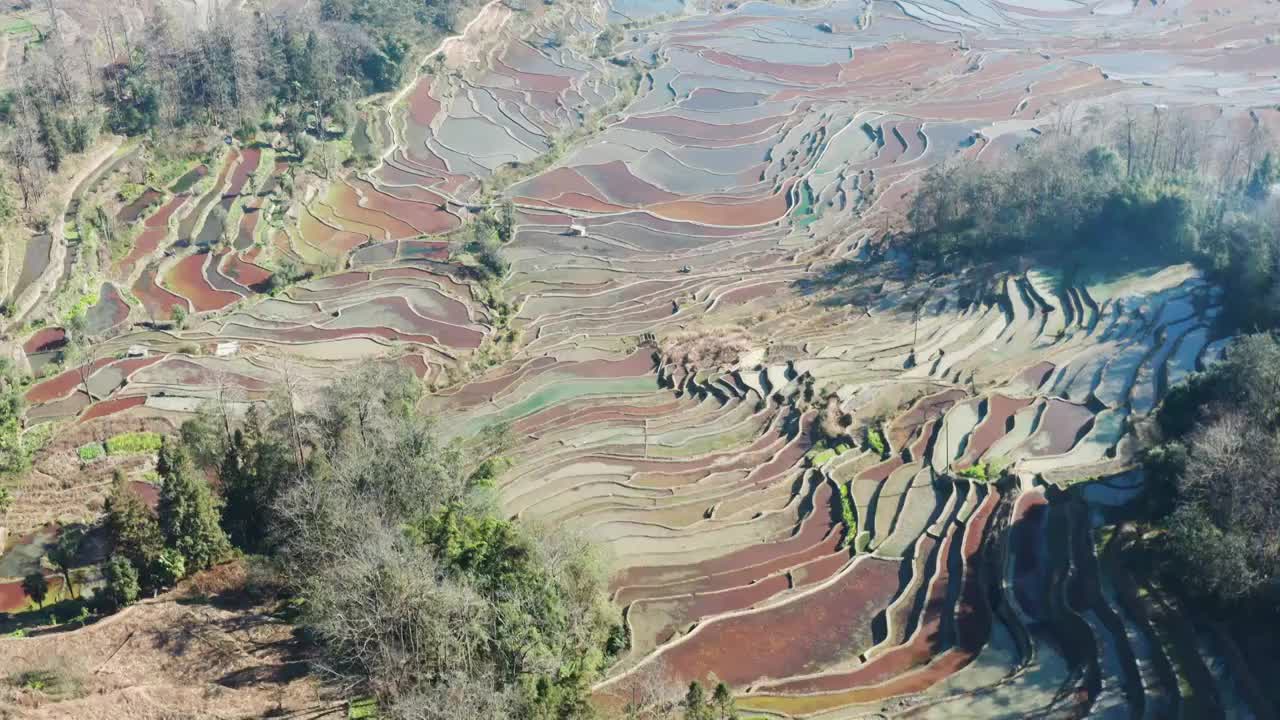 航拍云南省哈尼族元阳梯田视频素材