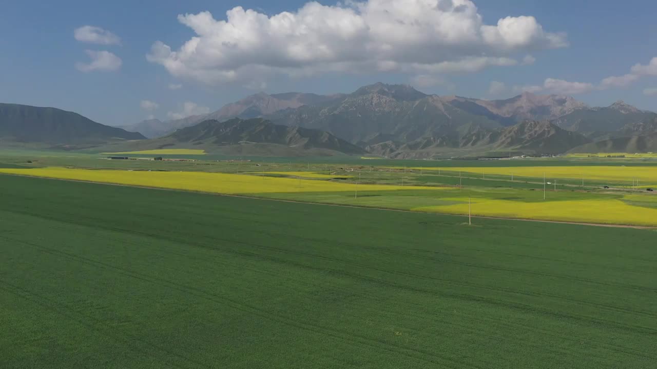 航拍青海扁都口青稞麦田视频素材