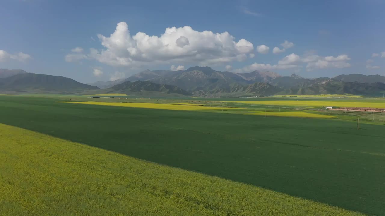 航拍青海扁都口青稞麦田视频素材