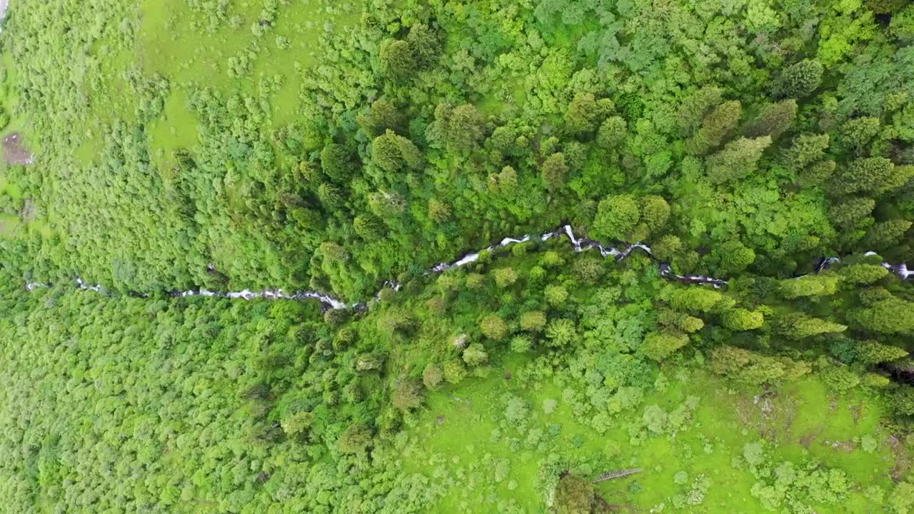 黑水县深山瀑布（五）视频素材