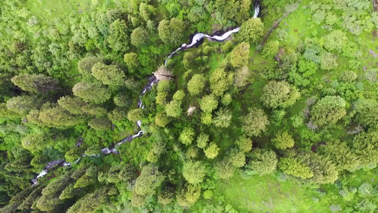 黑水县深山瀑布（七）视频素材