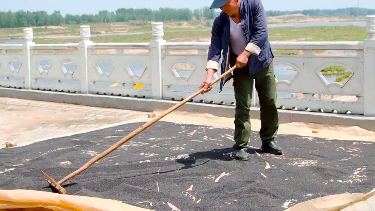 油菜籽选编视频素材