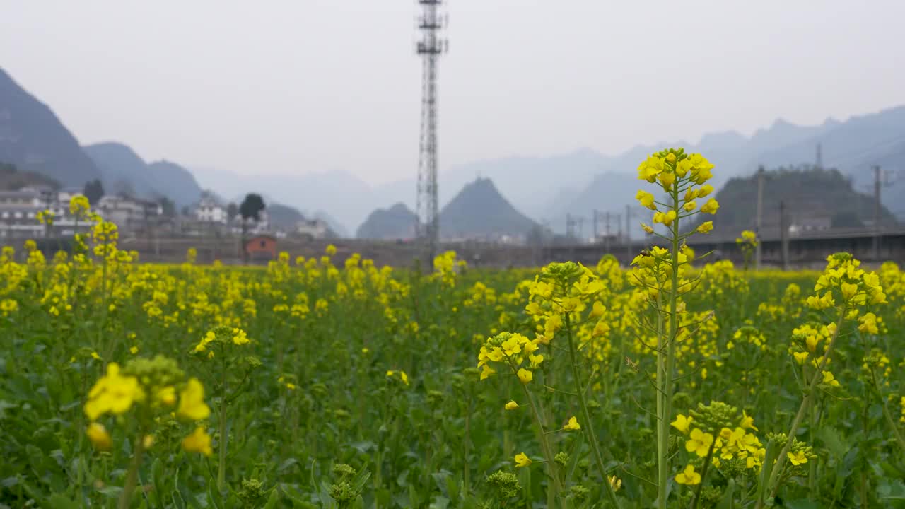 贵州开往春天的列车视频素材