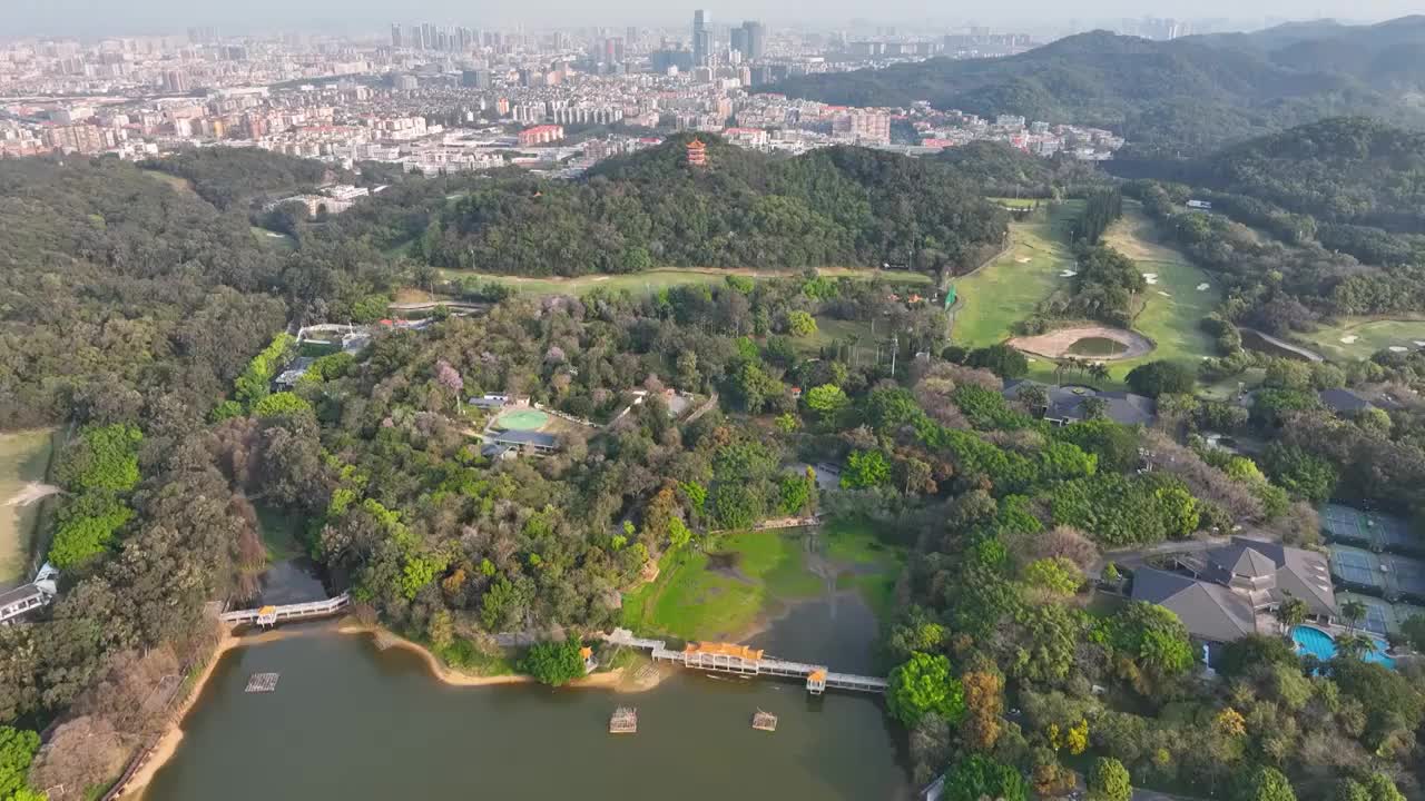 城市中的绿洲——春天里的广州麓湖公园视频素材