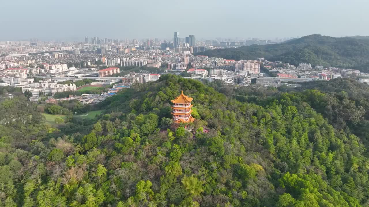 航拍珠水云山第一楼——广州麓湖公园鸿鹄楼视频素材