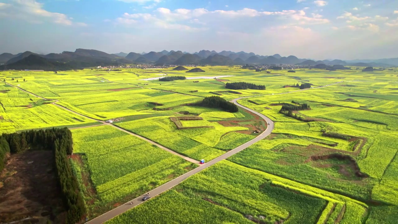 穿过油菜花田的公路视频素材