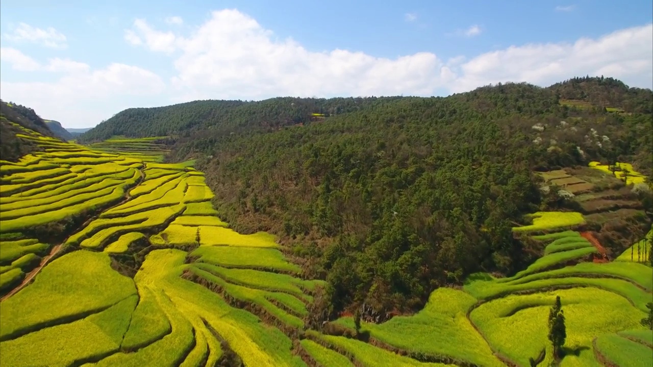 航拍云南罗平马街镇油菜花梯田春天美景视频素材