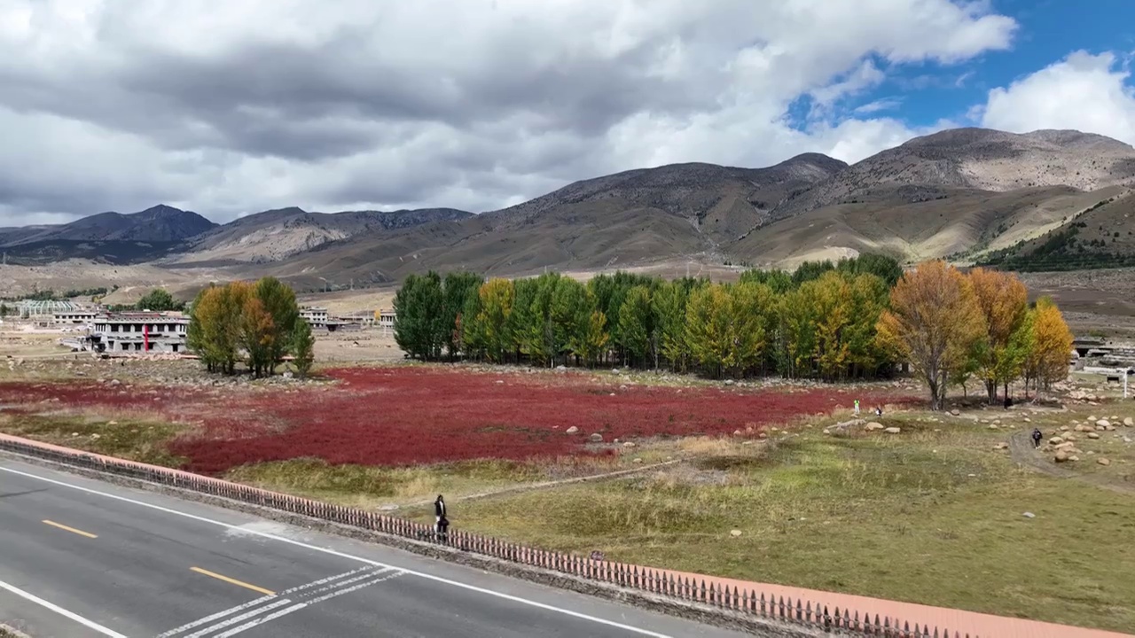 理亚公路-红草地视频下载