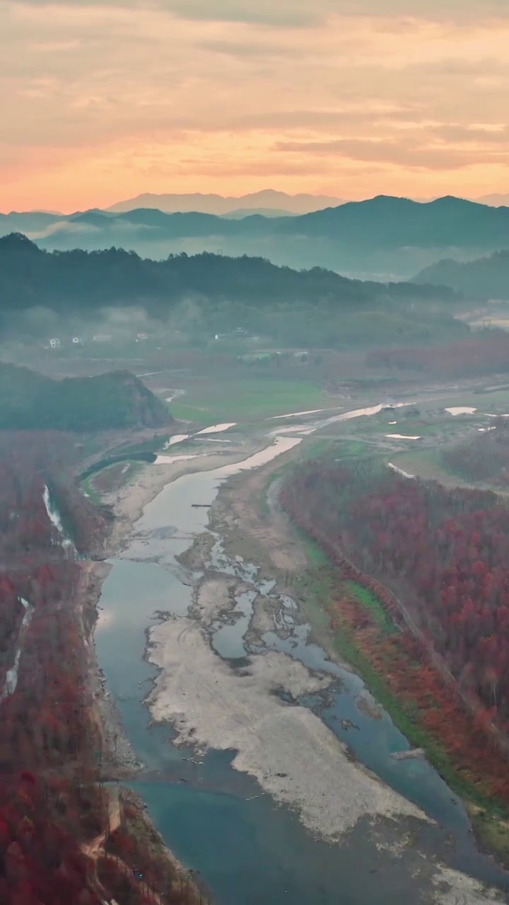 清晨的水杉林，宁国青龙湾水杉林，红色的森林，水杉树的航拍视角视频素材