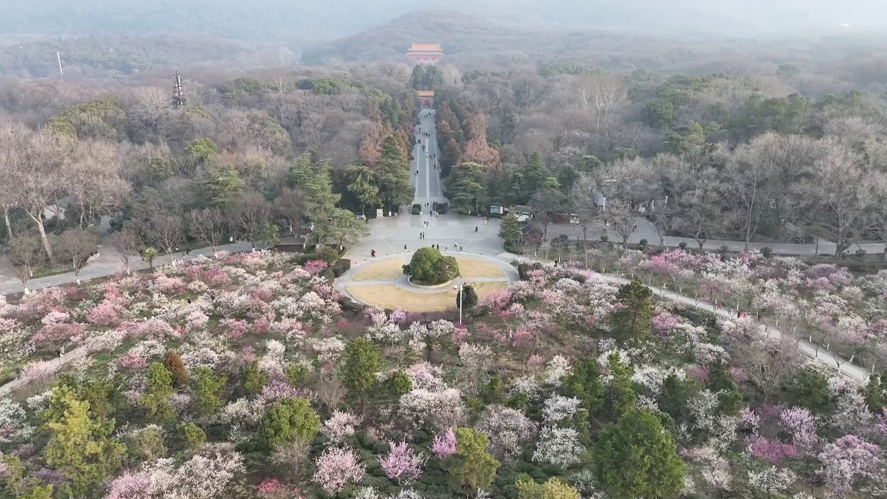 南京明孝陵初春景象视频素材