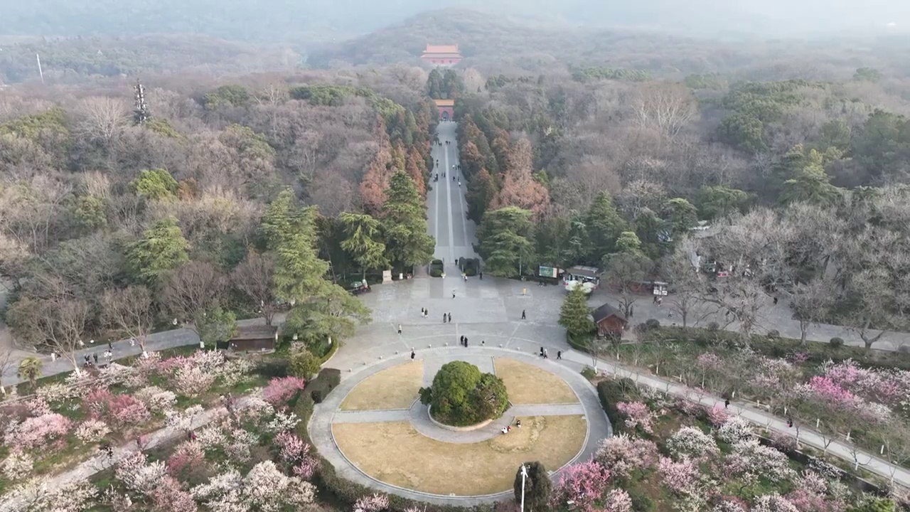 南京明孝陵初春景象视频素材