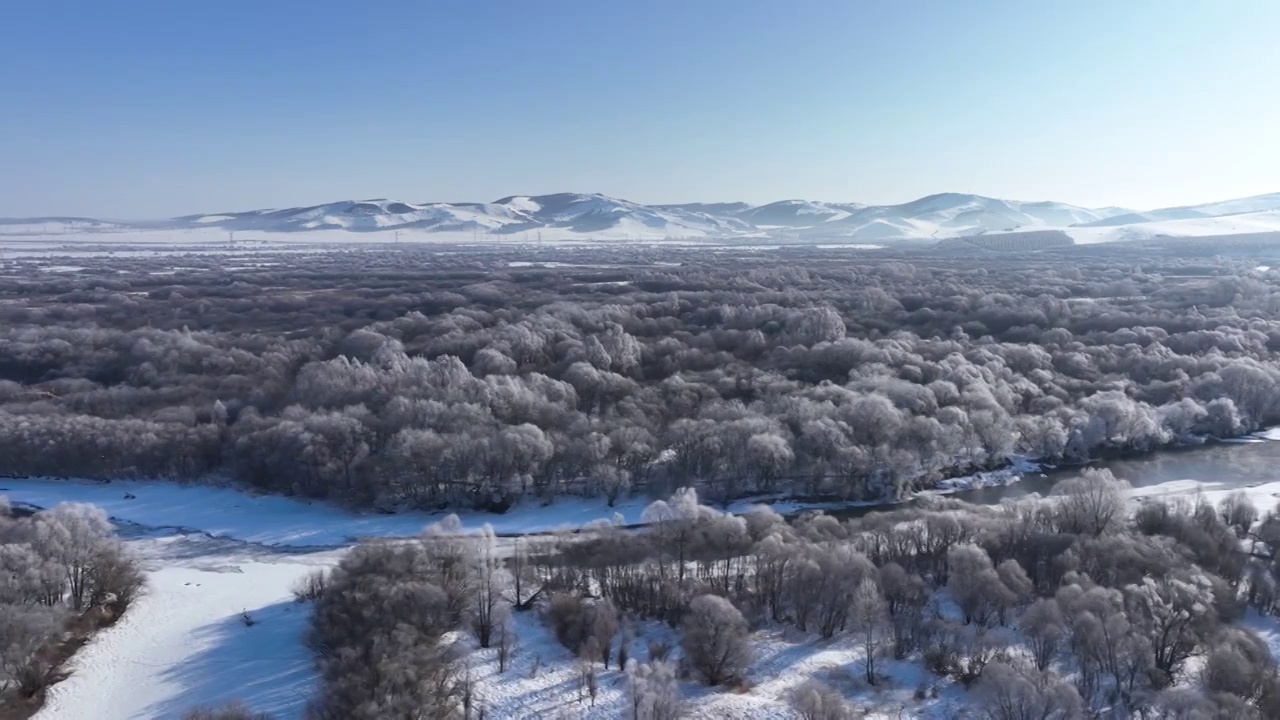 航拍内蒙古雪原扎敦河丛林雾凇视频素材