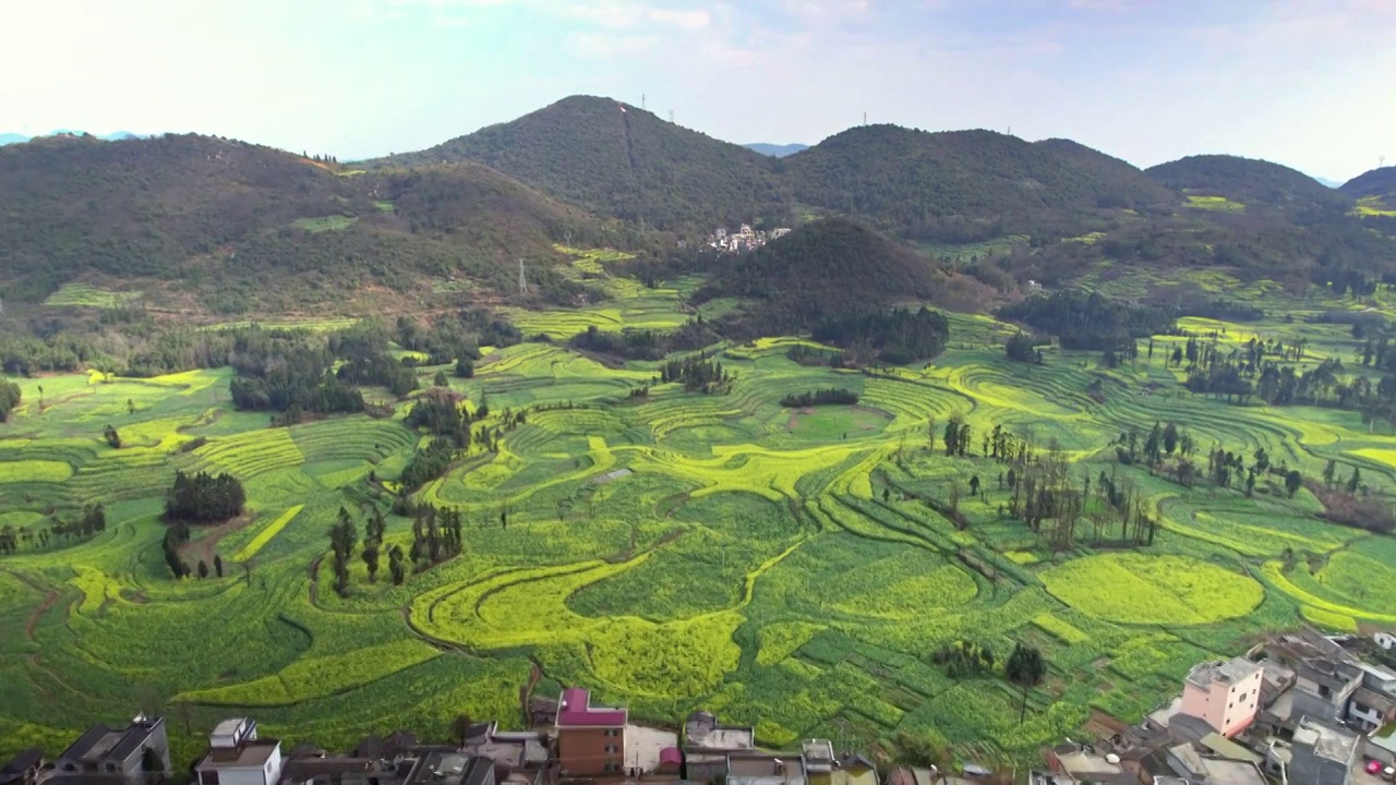 航拍云南罗平螺丝田油菜花梯田视频素材