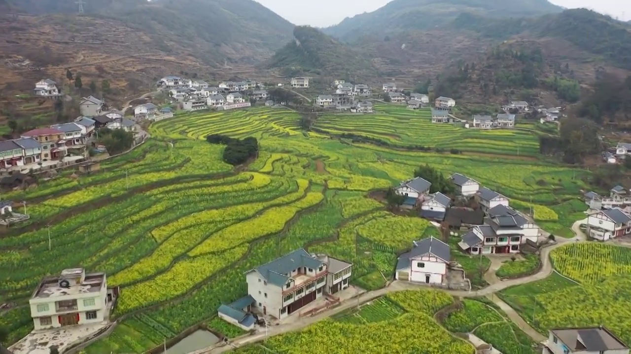 贵州苟坝会议和高速公路乡村油菜花航拍视频素材