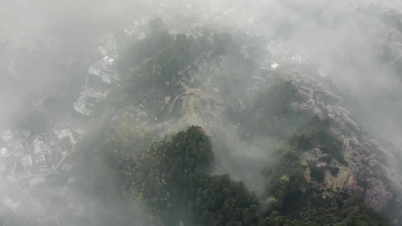 安徽黄山歙县卖花渔梅花云海皖南山区春天风光航拍 合集视频素材