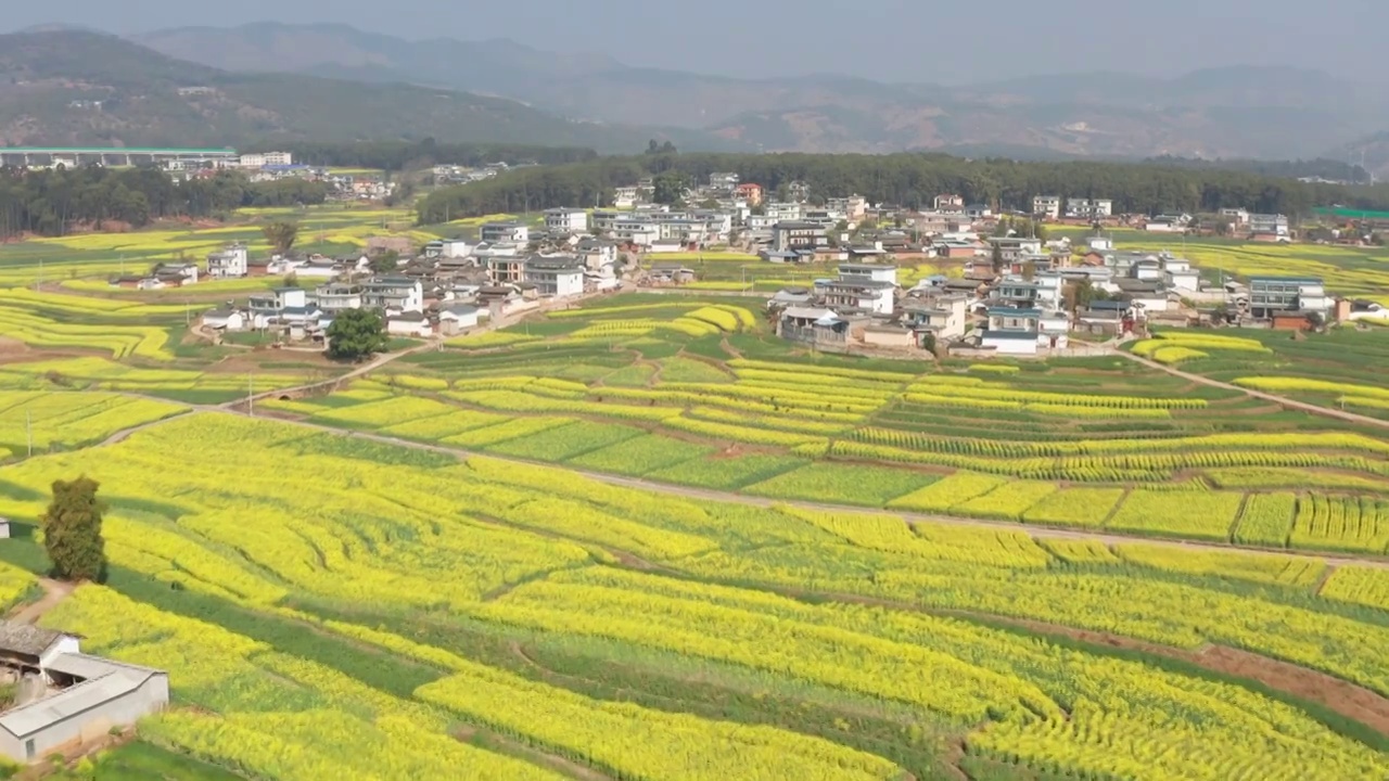 航拍丙麻乡油菜花乡镇田园风光视频素材