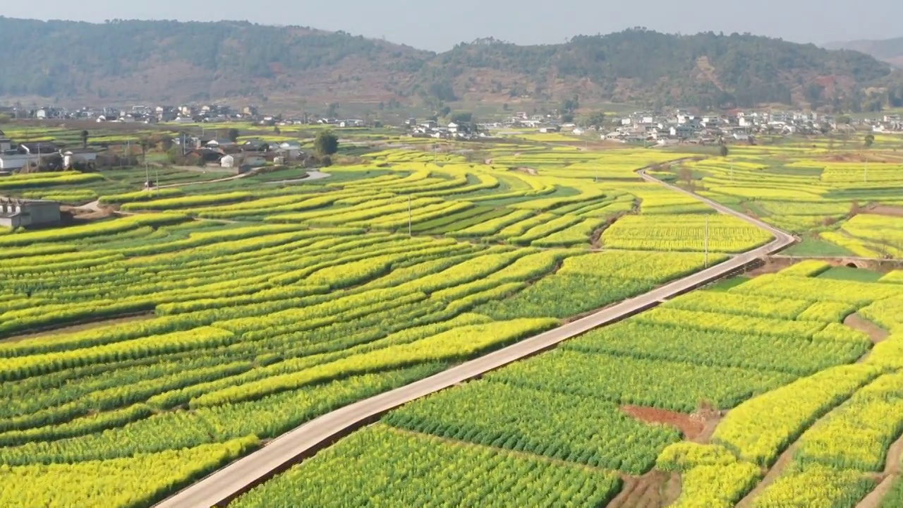 航拍丙麻乡油菜花乡镇田园风光视频素材