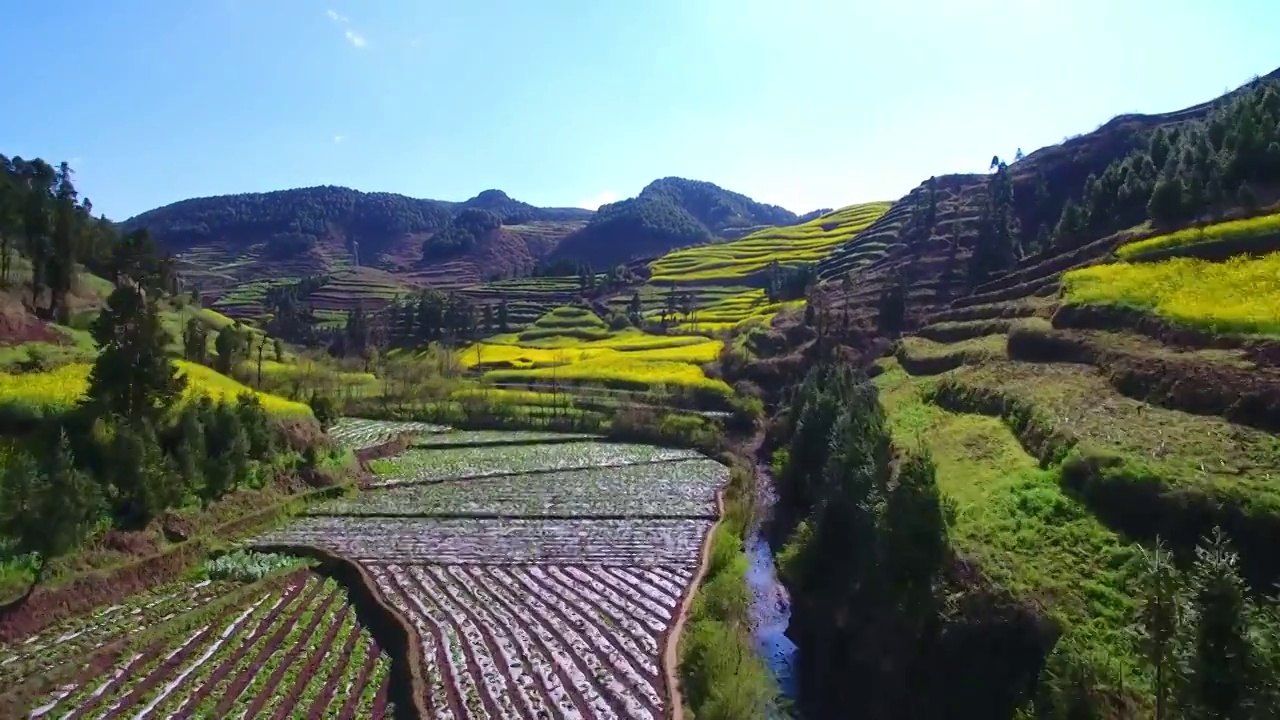 山间的农田与油菜花-航拍云南罗平马街镇油菜花梯田视频素材