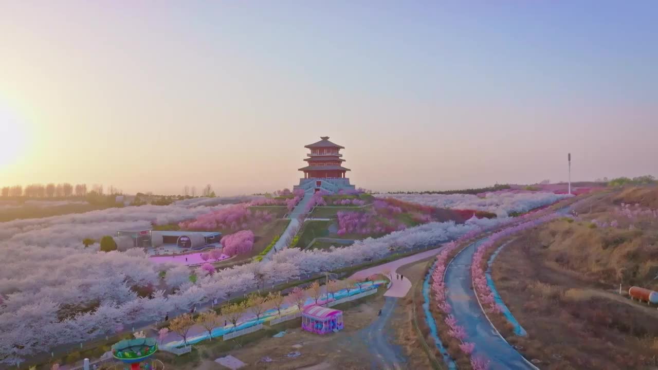 夕阳余晖下的郑州丰乐樱花园及不远处的黄河视频素材