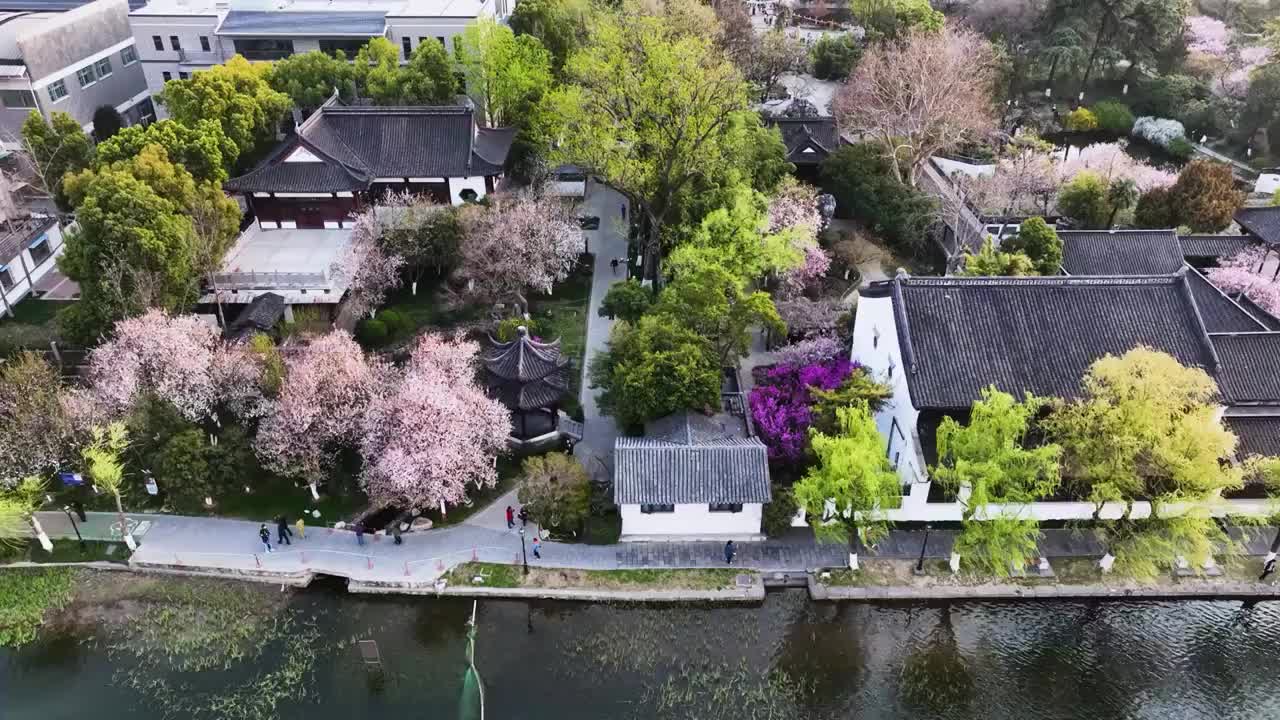 春到莫愁，江苏南京视频素材