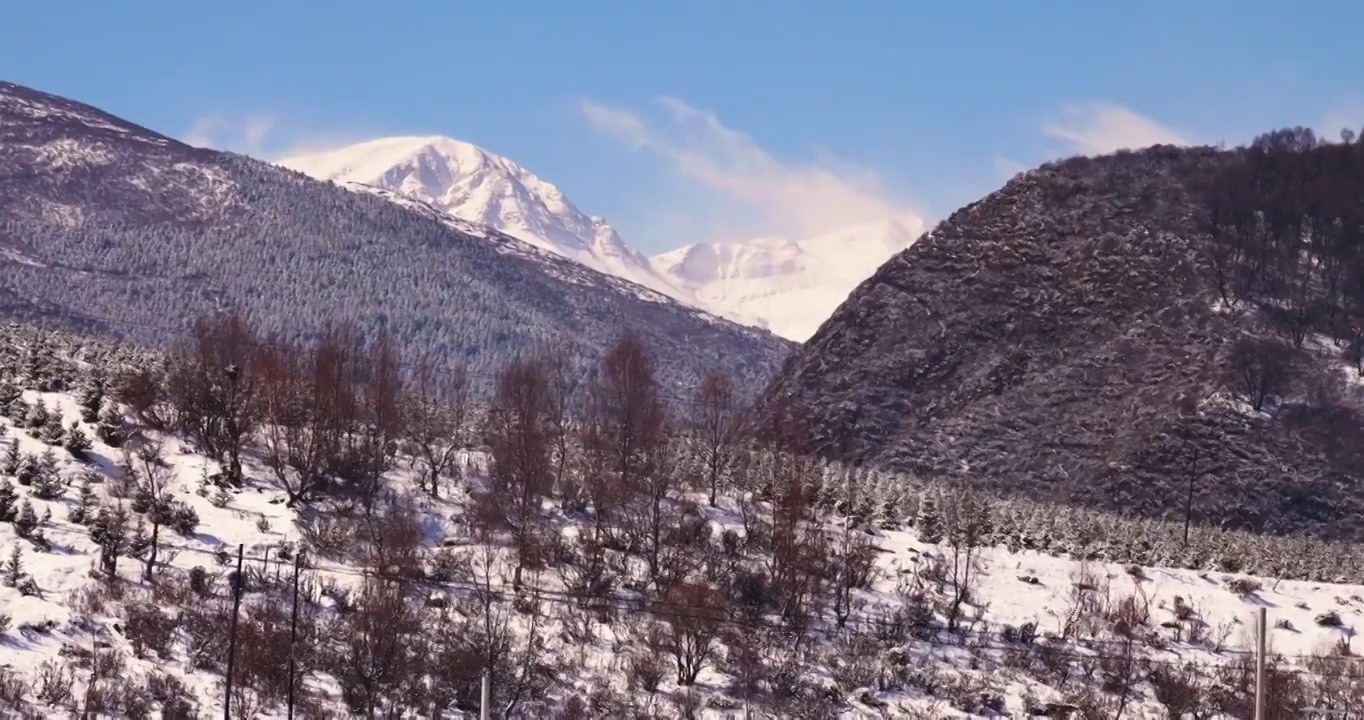 林场雪山云雾景象视频素材