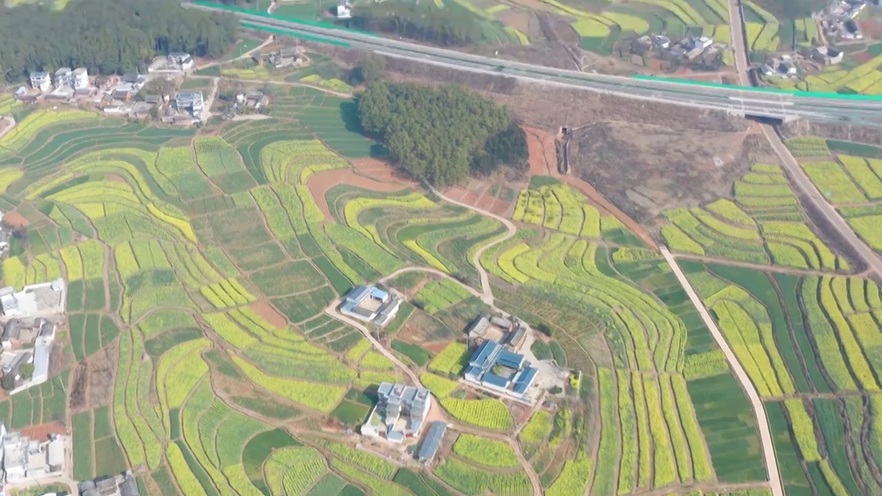 航拍丙麻乡油菜花海视频素材