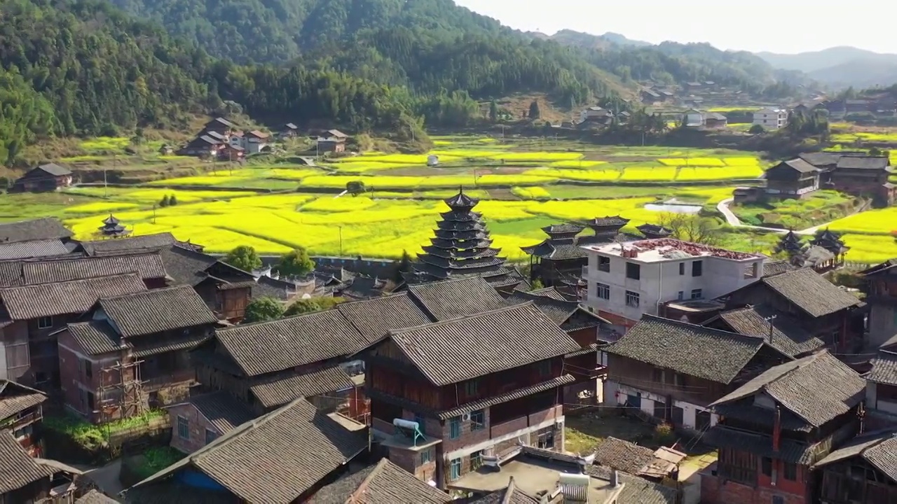 航拍农村古村落和油菜花美丽景象视频素材