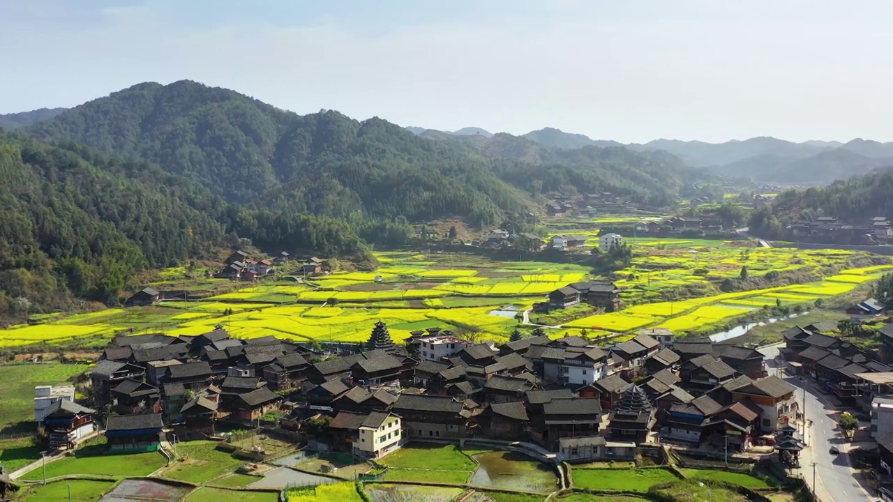 航拍农村古村落和油菜花美丽景象视频素材