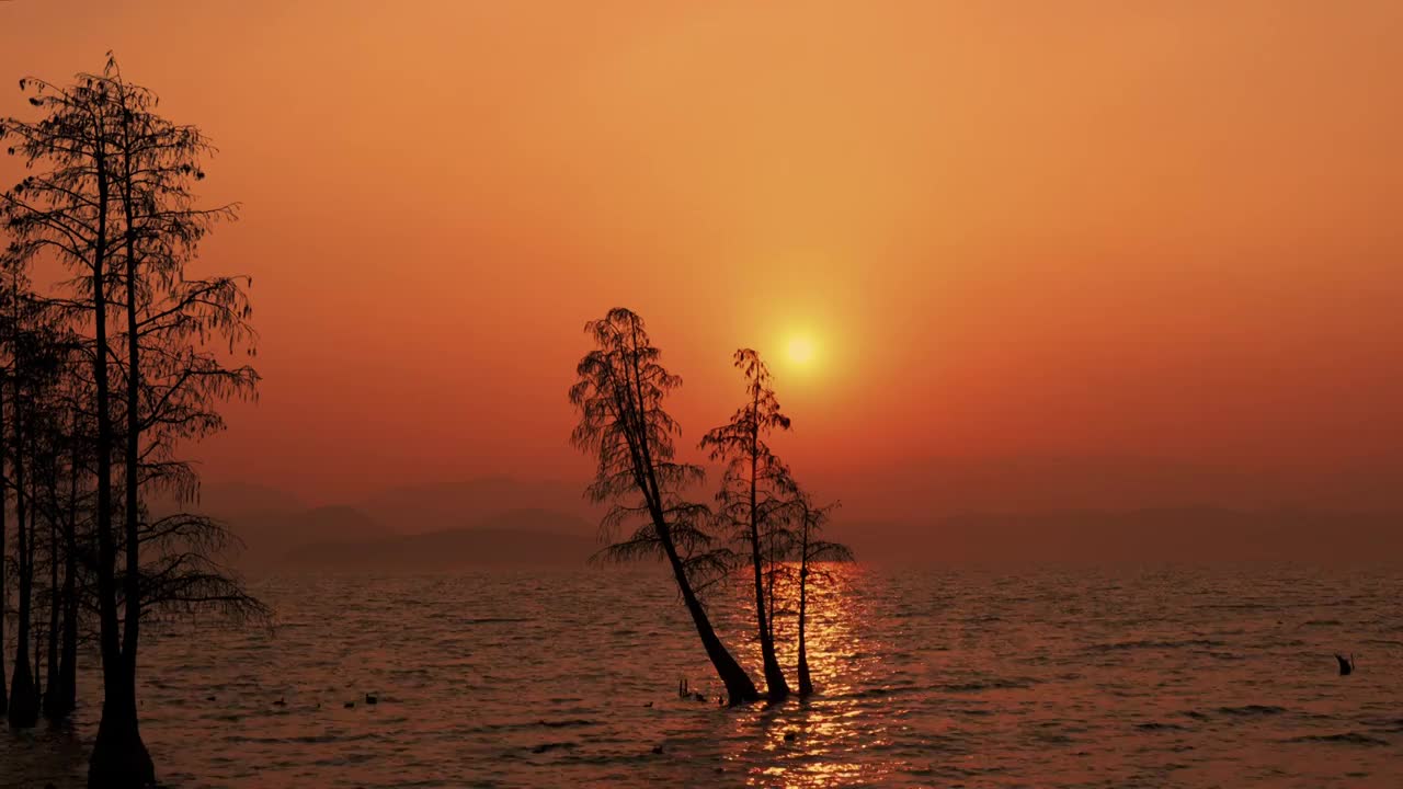 龙龛码头洱海海边唯美日出朝阳视频素材