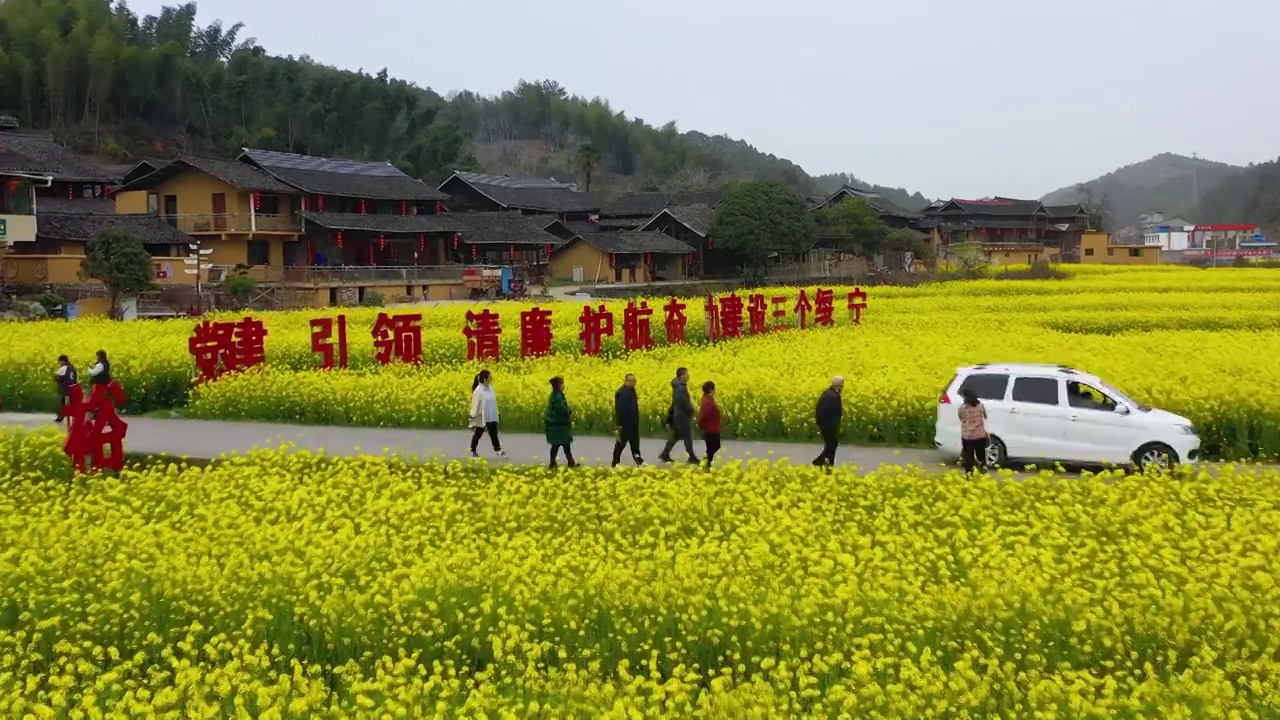 航拍湖南邵阳大团村油菜花乡村振兴美丽风光视频素材