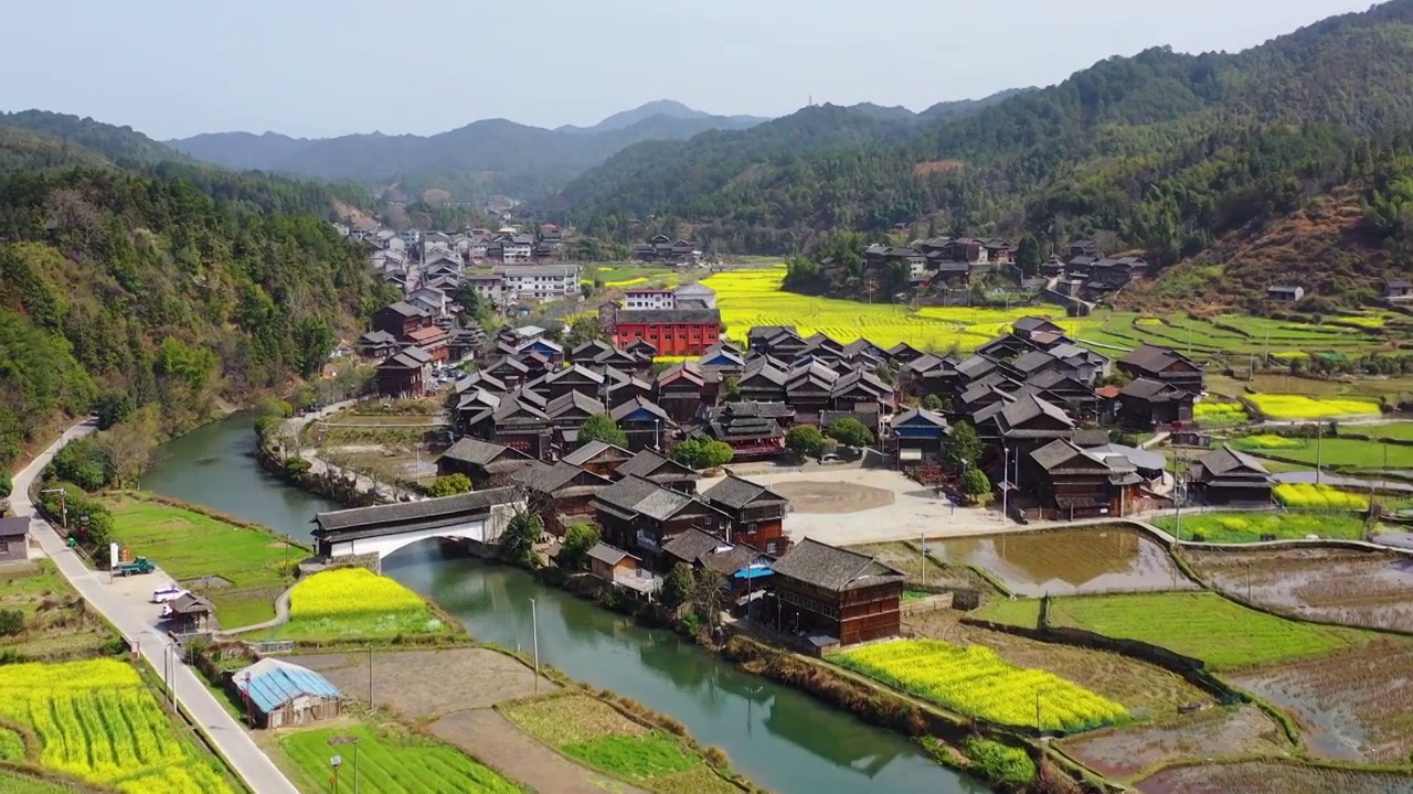 航拍湖南通道平坦乡油菜花盛开美丽乡村视频素材