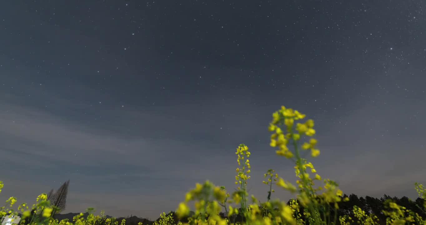 南方的油菜花田与星轨视频素材