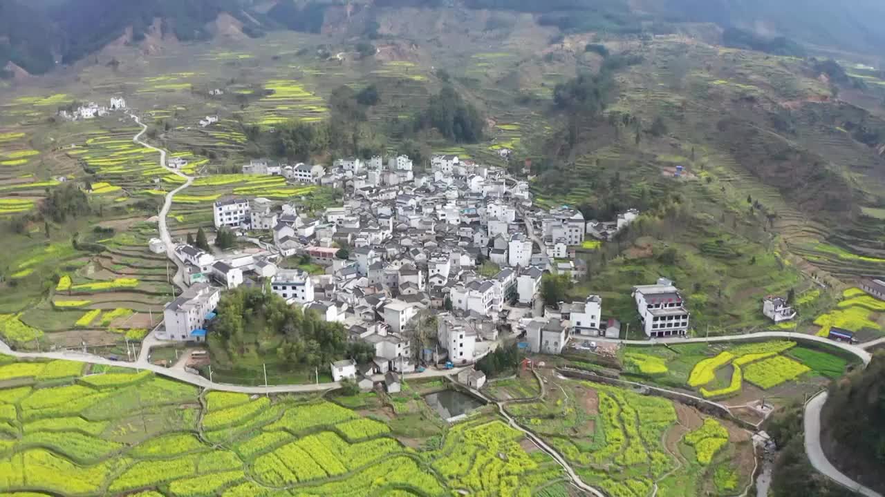 绩溪县家朋乡油菜花视频素材