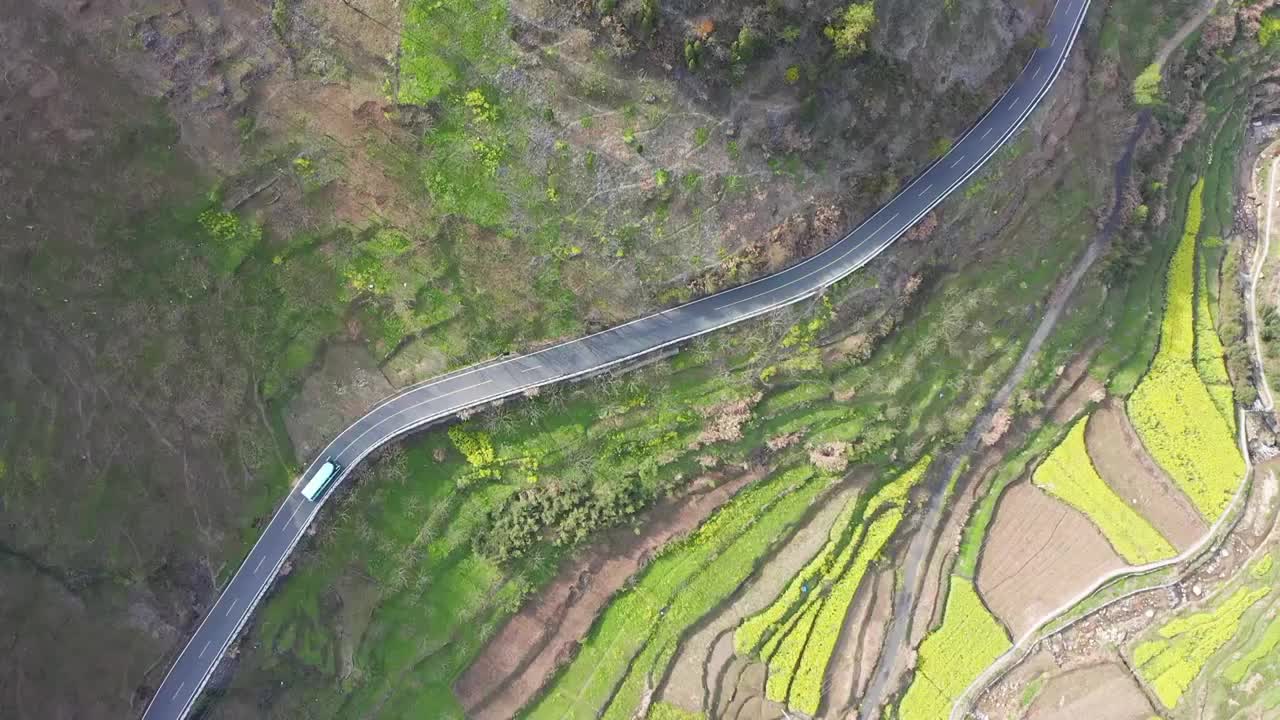 绩溪县家朋乡油菜花视频素材