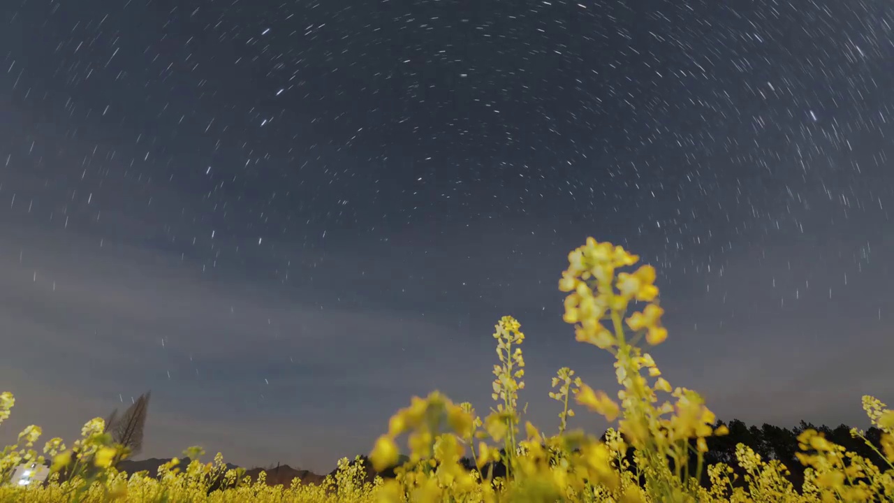 油菜花田和星空星轨视频素材