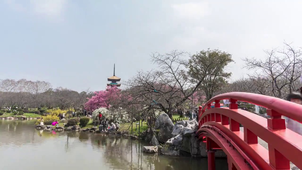 湖北省武汉市东湖樱园延时视频素材