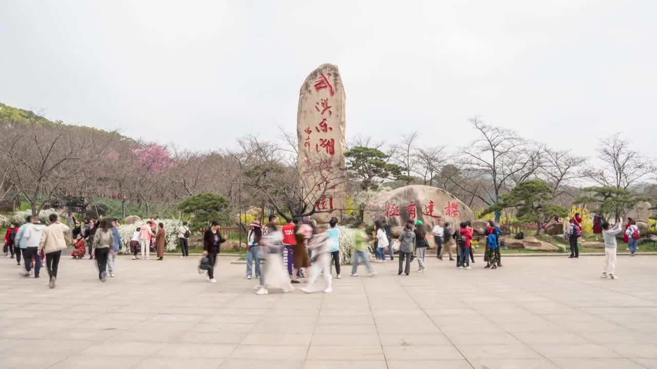 湖北省武汉市东湖樱园延时视频素材