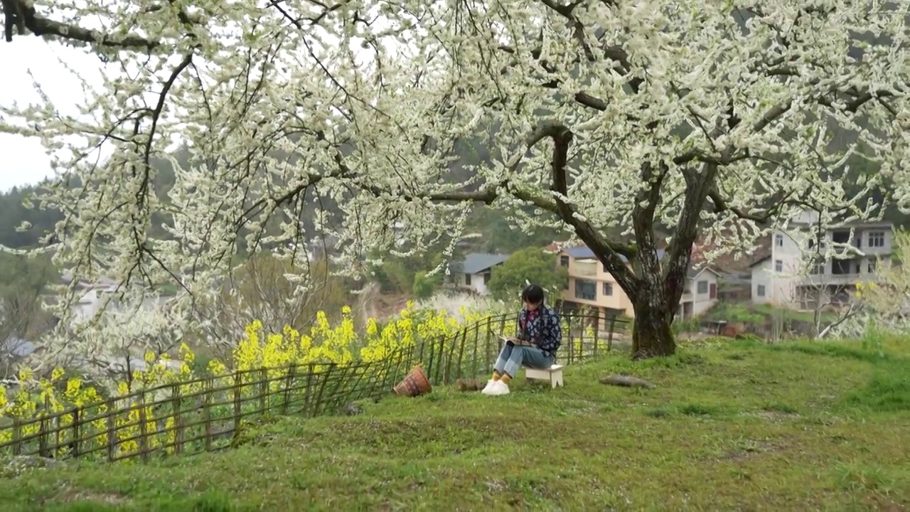 湖北恩施山里农家姑娘春天户外阅读场景如画视频素材