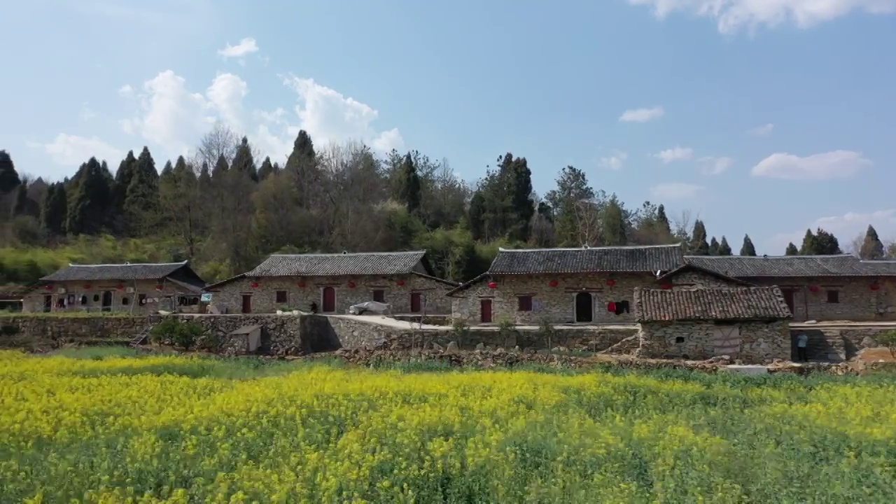 湖北宜昌夷陵区分乡镇南岔湾村，农家石屋与田园油菜花交相辉映视频素材