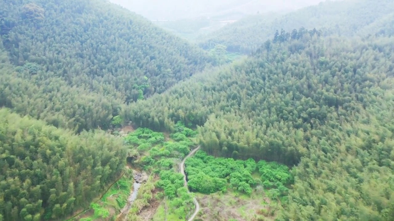 航拍春天清晨竹海清新空气森林环绕乡村振兴与乡镇建设南方村镇农业开发试点示范区经济林区竹林林场乡村旅游视频素材