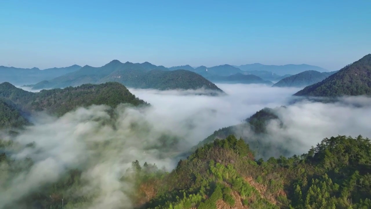 幽静的山谷云海弥漫视频素材