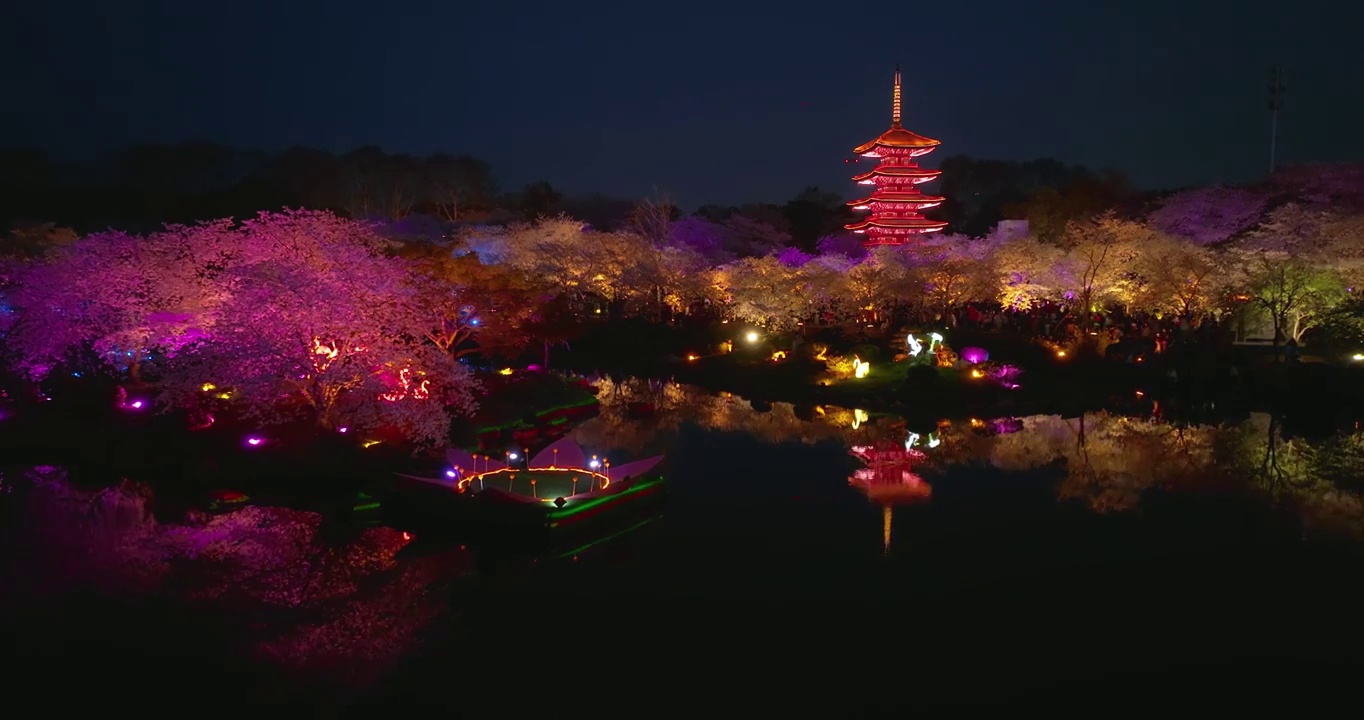 武汉东湖磨山樱花园春季风光视频素材