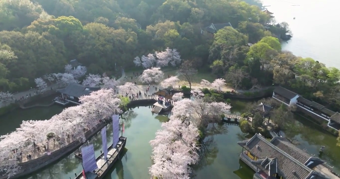 世界三大赏胜地无锡市太湖鼋头渚风景区长春桥樱花太湖风光视频素材