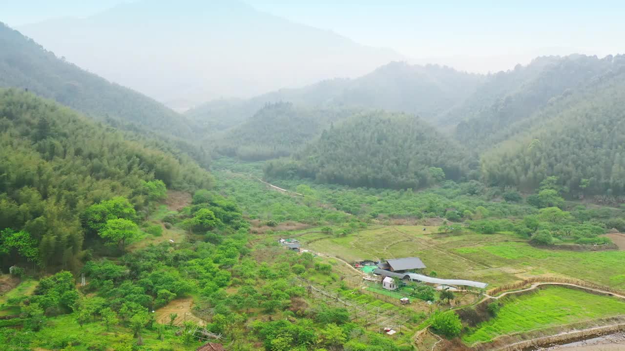 航拍春天大山森林环绕竹林场经济作物山林植被覆盖原生态林区绿化山林乡村振兴乡镇建设开发原生态乡村旅游视频素材